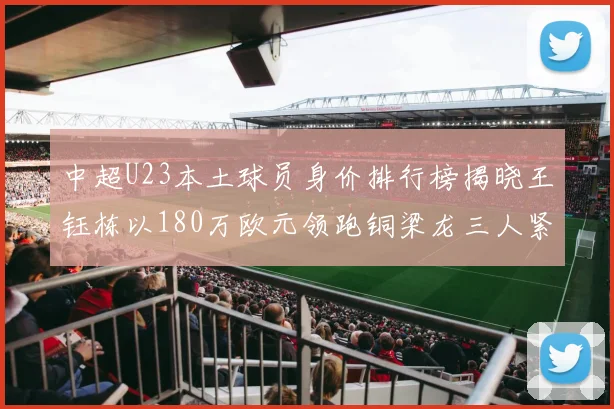 中超U23本土球员身价排行榜揭晓王钰栋以180万欧元领跑铜梁龙三人紧随其后