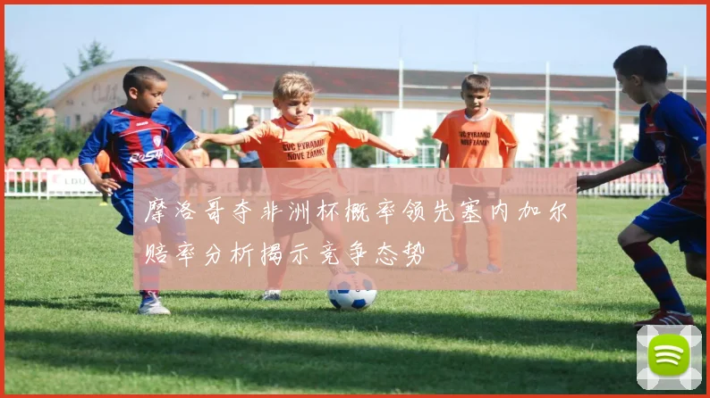 摩洛哥夺非洲杯概率领先塞内加尔赔率分析揭示竞争态势