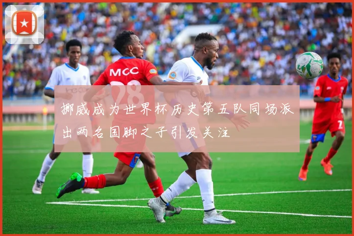 挪威成为世界杯历史第五队同场派出两名国脚之子引发关注